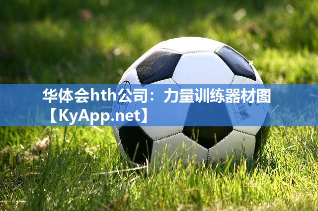 华体会hth公司：力量训练器材图